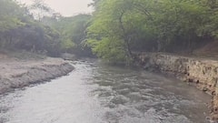 लाइफलाइन से ‘जहर की धारा’ बनी बलिया नदी, सिंगरौली-सोनभद्र की सीमा पर बह रहा काला तेजाबी पानी