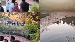 Maharashtra: कुएं में पलटी प्याज से भरी ट्रैक्टर-ट्रॉली, उसपर सवार 3 बच्चे भी गिरे, दो की तलाश जारी