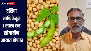 मोठी बातमी! दक्षिण आफ्रिकेतून 1 लाख टन सोयाबीन आयात होणार, शेतकऱ्यांना फटका बसणार का?  