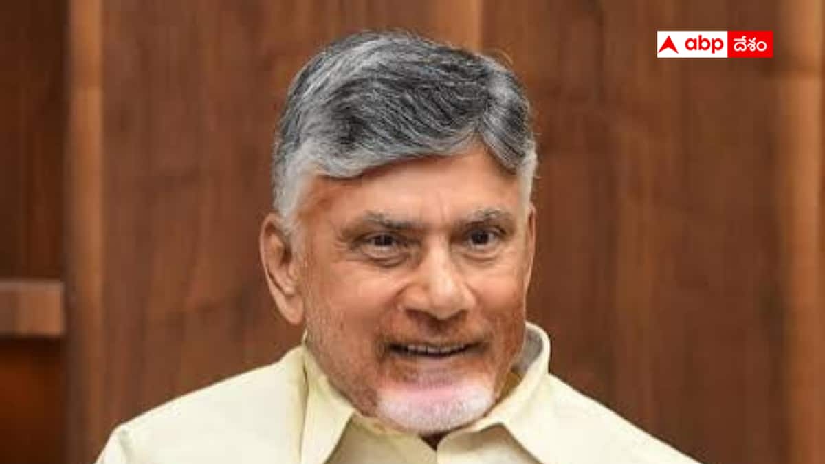 IndiGo crisis: ఇండిగోనే తప్పు చేసింది - సమస్యను మేం పర్యవేక్షించడం లేదు - చంద్రబాబు కీలక వ్యాఖ్యలు