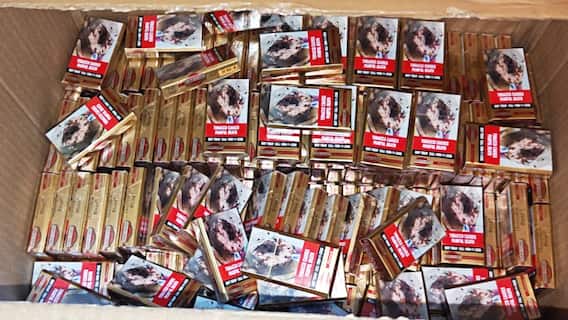 बिहार: कहीं आप भी तो नहीं पी रहे नकली सिगरेट? मुंगेर में पड़ा छापा, 5-6 साल से चल रहा था कारोबार