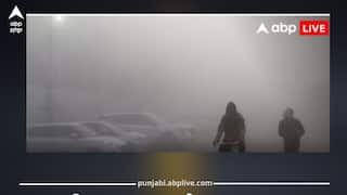 Rain Warning: IMD ਵੱਲੋਂ 10, 11 ਅਤੇ 12 ਦਸੰਬਰ ਲਈ ਘਣੇ ਕੋਹਰੇ ਅਤੇ ਬਾਰਿਸ਼ ਦੀ ਚੇਤਾਵਨੀ, 10 ਵੱਡੇ ਸ਼ਹਿਰਾਂ ਲਈ ਅਲਰਟ