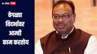 वेगळ्या विदर्भाच्या बाजूनेच भाजपची भूमिका, आम्ही त्यावर काम करतोय, चंद्रशेखर बावनकुळेंनी दिलं स्पष्टीकरण 