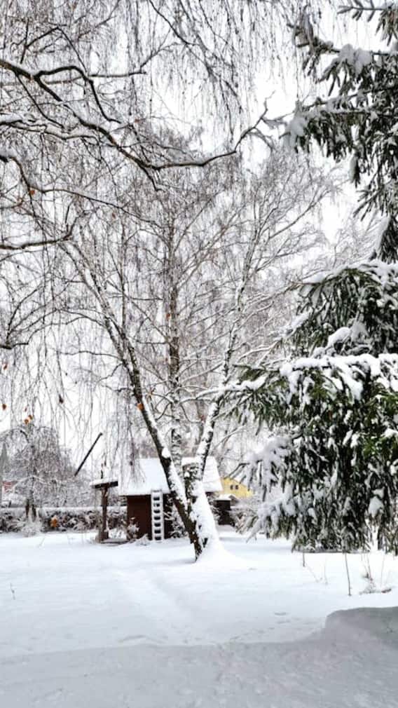 हिमाचल में वो जगहें जहां बिना भीड़ के ले सकते हैं स्नोफॉल के मजे