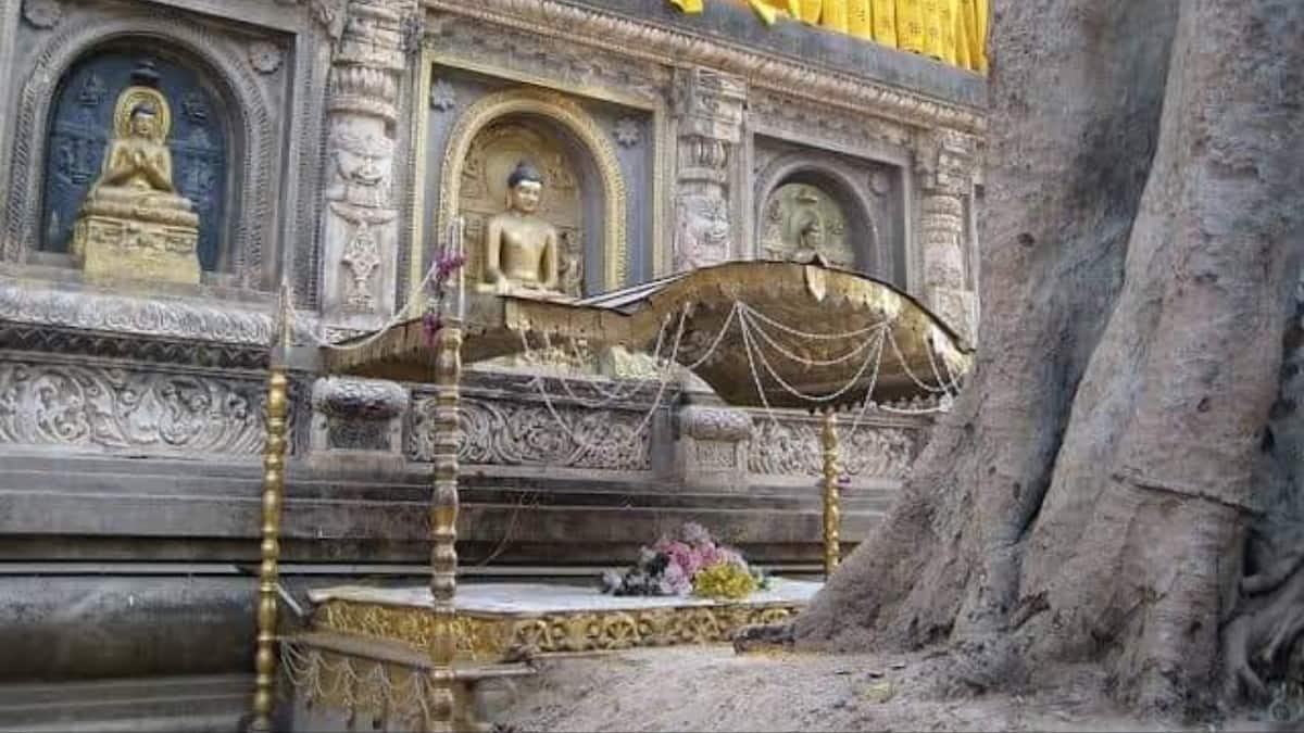 (Image Source: Twitter/@archeohistories)