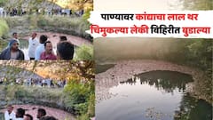 कांद्याचा ट्रॅक्टर विहिरीत कोसळला, मजुरांच्या चिमुरड्या लेकी पाण्याने तुडुंब भरलेल्या विहिरीत गडप झाल्या, साक्रीमध्ये मन हेलावणारा अपघात