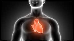 Heart-Damaging Foods : గుండె ఆరోగ్యానికి ఈ 7 ఆహారాలు చాలా ప్రమాదకరమైనవి.. WHO ఇస్తోన్న అలర్ట్ ఇదే