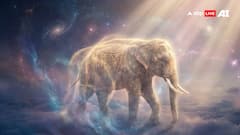 Swapna Shastra: सपने में दिखे ये 7 जानवर तो समझो खुलने वाली किस्मत! जानिए शेर से लेकर हाथी देखने का मतलब?