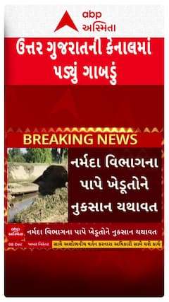 Mehsana Canal Breach: ઉત્તર ગુજરાતની વધુ એક કેનાલમાં ગાબડું, ખેતરમાં ફરી વળ્યા પાણી