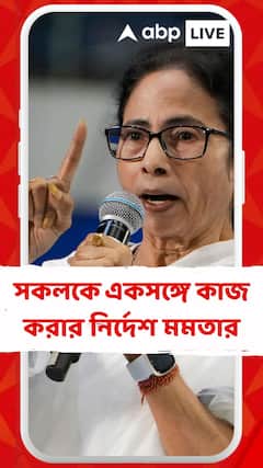 'ছোটখাটো বিষয় এড়িয়ে SIR নিয়ে ঝাঁপিয়ে পড়তে হবে', নির্দেশ মমতার