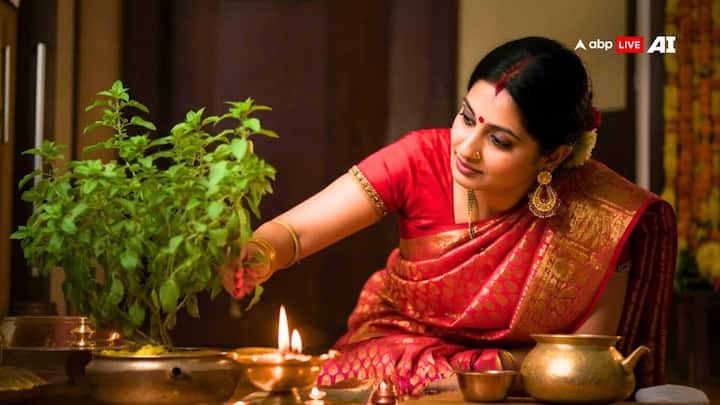 मान्यता है कि जिस घर पर नियमित रूप से तुलसी की पूजा होती है, वहां मां लक्ष्मी का वास होता है. इतना ही तुलसी के पौधे से घर पर आने वाली खुशियां या परेशानी के संकेत भी मिलते हैं.