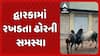 Dwarka News: દ્વારકામાં રખડતા ઢોરની સમસ્યા મુદ્દે ગુજરાત હાઈકોર્ટે નગરપાલિકાની ઝાટકણી કાઢી