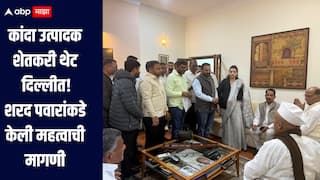 कांदे विकून सहा महिने झाले, पैसे मात्र मिळाले नाहीत, शेतकरी थेट दिल्लीत, शरद पवारांना घातले साकडे