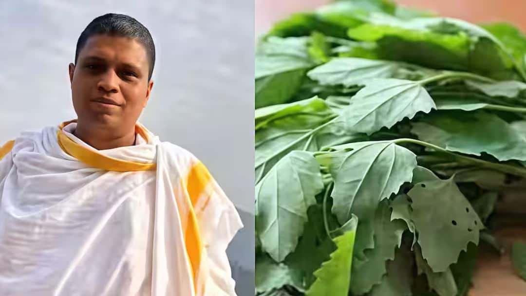 ”கிட்னி, கல்லீரல் ஆரோக்கியத்தை மீட்டெடுக்கும் பருப்புக்கீரை”  ஆச்சார்யா பாலகிருஷ்ணா அட்வைஸ்