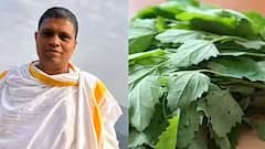 ”கிட்னி, கல்லீரல் ஆரோக்கியத்தை மீட்டெடுக்கும் பருப்புக்கீரை” ஆச்சார்யா பாலகிருஷ்ணா அட்வைஸ்