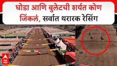 सारंगखेड्यात रंगला घोडा Vs बुलेट शर्यतीचा थरार, ‘वेगवान राणी’ची धमाकेदार बाजी, अश्वप्रेमींच्या डोळ्यांचं पारणं फिटलं!