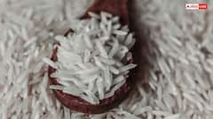 दुनिया में कौन सा देश बेचता है सबसे सस्ता चावल, कहां सबसे ज्यादा होती है पैदावार?