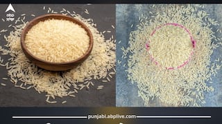 ਟਰੰਪ ਵੱਲੋਂ ਵੱਡਾ ਝਟਕਾ! ਭਾਰਤ 'ਚ ਬਾਸਮਤੀ ਦਾ ਡਿੱਗੇਗਾ ਭਾਅ