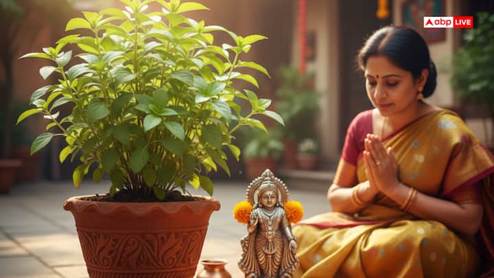 घर में तुलसी का पौधा लगाएं या उसकी पूजा करें. वैकुंठ एकादशी के शुभ अवसर पर भगवान विष्णु को तुलसी दल अत्यंत प्रिय है, इसलिए भोग में तुलसी का पत्र अवश्य शामिल करें. इस दिन भूलकर भी तुलसी के पौधे पर जल नहीं चढ़ाएं, क्योंकि माना जाता है कि इस दिन माता तुलसी निर्जला व्रत रखती हैं.