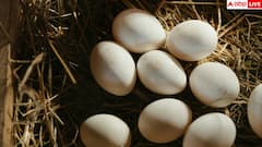 क्या फ्रिज में रखने से सड़ जाते हैं अंडे या रहते हैं फ्रेश? जान लें अपने काम की बात