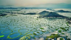 Did You Know The World’s Only Floating National Park Is In India? Explore Keibul Lamjao In Manipur