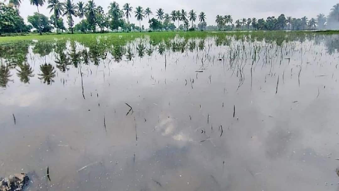 அதிகாரிகளே மறந்திடாதீங்க பூதலூர் ஒன்றியமும் இருக்குங்க...  விவசாயிகள் சங்கம் வலியுறுத்தல் எதற்காக?