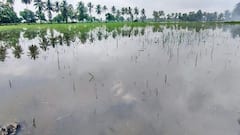 அதிகாரிகளே மறந்திடாதீங்க பூதலூர் ஒன்றியமும் இருக்குங்க... விவசாயிகள் சங்கம் வலியுறுத்தல் எதற்காக?