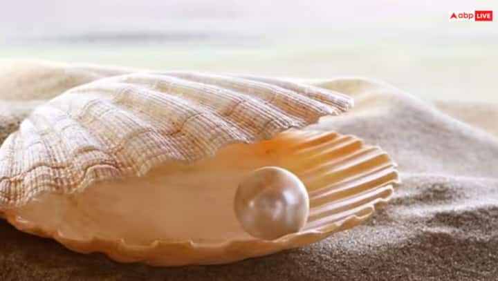 રત્નશાસ્ત્રમાં નવ રત્નોમાંથી એક રત્ન મોતી રત્નનું વિશેષ મહત્વ છે. એવું માનવામાં આવે છે કે જેમની કુંડળીમાં ચંદ્ર મજબૂત હોય તેમના માટે મોતી પહેરવું વરદાન હોઈ શકે છે. જોકે, રત્ન પહેરવું હંમેશા જ્યોતિષશાસ્ત્ર અનુસાર કરવું જોઈએ.