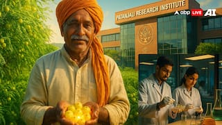 वेस्ट टू वेल्थ: बेकार नहीं हैं आंवला के बीज, पतंजलि की रिसर्च ने दुनिया को चौंकाया!