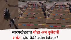 Sarangkheda Horse Market: सारंगखेड्यात घोडा आणि बुलेटची शर्यत, वाऱ्याच्या वेगाने अश्व धावत सुटला, दोघांपैकी कोण जिकलं? पाहा PHOTO