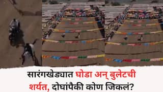 Sarangkheda Horse Market: सारंगखेड्यात घोडा आणि बुलेटची शर्यत, वाऱ्याच्या वेगाने अश्व धावत सुटला, दोघांपैकी कोण जिकलं? पाहा PHOTO