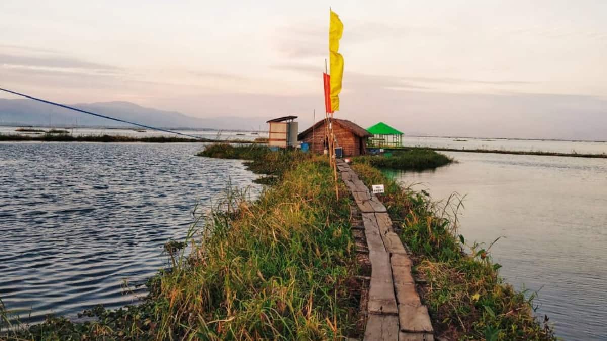 (Image Source: Twitter/@AnkitKumar_IFS)