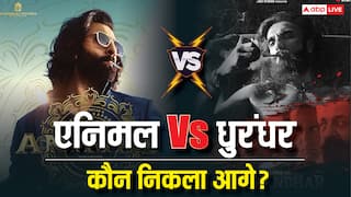 धुरंधर Vs एनिमल, किसकी दहाड़ से हिला बॉक्स ऑफिस? रणवीर या रणबीर कौन हैं बॉक्स ऑफिस का किंग?