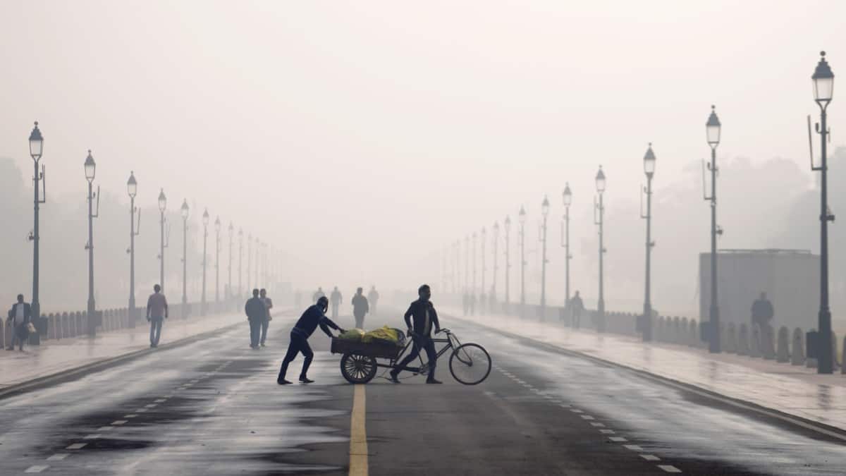 IMD Issues Cold Wave, Dense Fog Warning; Minimum Temp To Drop In Delhi From This Day