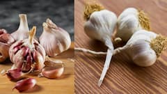 குளிர்காலத்தில் காலையில் 2 பூண்டுகள் சாப்பிட்டு பாருங்க.. இந்த பிரச்னையே வராது!