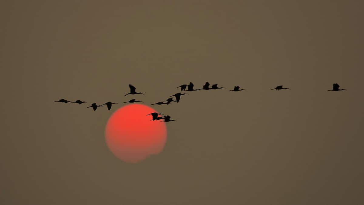 (Image Source: Facebook/Nkapil Singh)