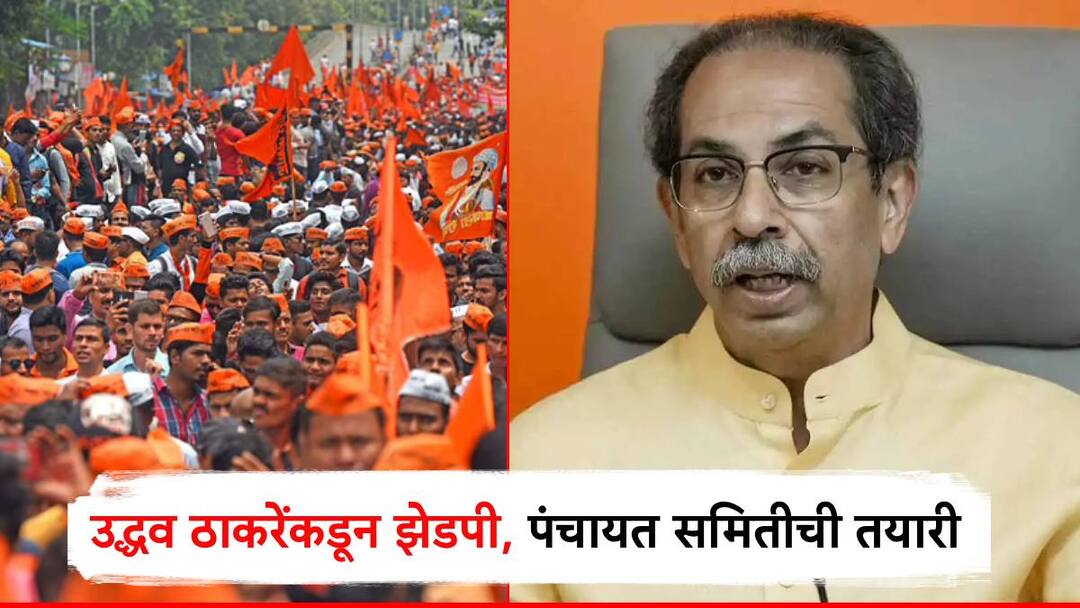 Shivsena UBT Uddhav Thackeray meeting Review of ZP and Panchayat Samiti information regarding MNS ZP अन् पंचायत समितीची तयारी, उद्धव ठाकरेंची जिल्हा संपर्क प्रमुखांसोबत बैठक; मनसेबाबतही सूचना