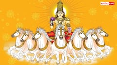 Surya Gochar 2025: 16 दिसंबर को साल का अंतिम सूर्य गोचर, तुला, धनु और इन राशियों के लिए खास