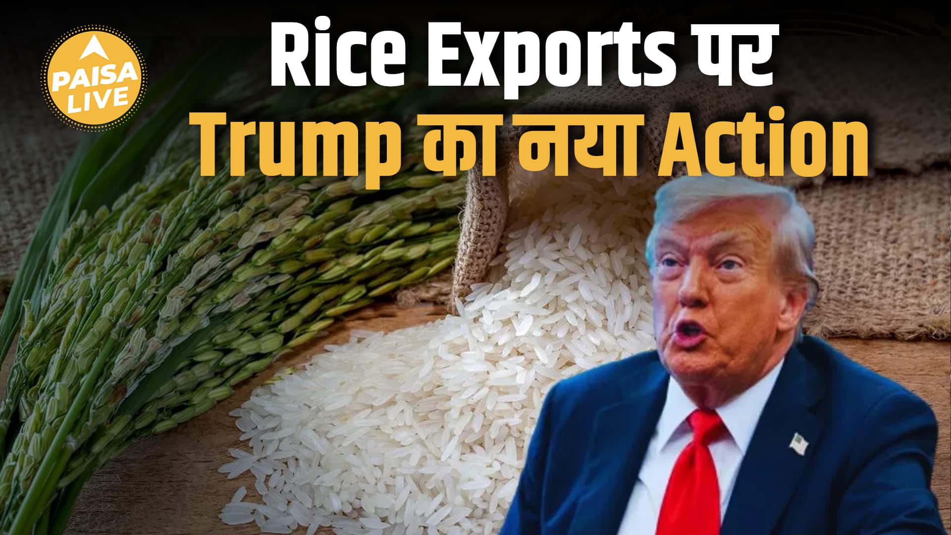 Indian Rice Industry को सबसे बड़ा झटका? Trump का नया Trade Move