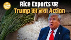 Indian Rice Industry को सबसे बड़ा झटका? Trump का नया Trade Move