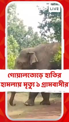 পশ্চিম মেদিনীপুরের গোয়ালতোড়ে হাতির হামলায় মৃত্যু ১ গ্রামবাসীর