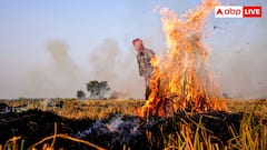 किस वक्त पराली ज्यादा जला रहे पंजाब-हरियाणा के किसान, मॉनिटरिंग को कैसे दे रहे धोखा?