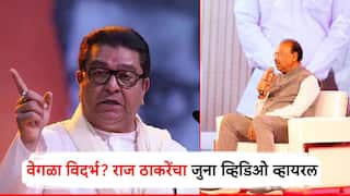 बावनकुळे म्हणाले, वेगळा विदर्भ भाजपजा अजेंडा,आम्ही काम करतोय; राज ठाकरेंचा जुना व्हिडिओ व्हायरल