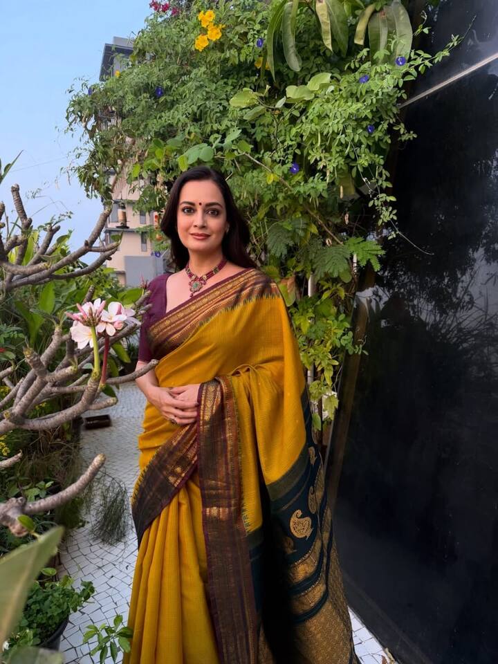 The saree looks of the actress are also amazing. Many times she shared her pictures in saree and she settled in the hearts of her fans. Dia Mirza is looking very beautiful in this viral photo also.