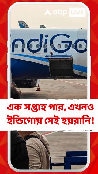 বিমান বিভ্রাটের ঘটনায় ইন্ডিগোর CEO-কে তলব, এক সপ্তাহ পার; এখনও ইন্ডিগোয় সেই হয়রানি!