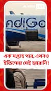 বিমান বিভ্রাটের ঘটনায় ইন্ডিগোর CEO-কে তলব, এক সপ্তাহ পার; এখনও ইন্ডিগোয় সেই হয়রানি!