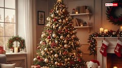 Christmas 2025: क्रिसमस को एक्स-मस (X-Mas) क्यों कहा जाता है?