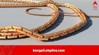 China News: মায়ের সোনার হার খণ্ড খণ্ড করে কেটে সহপাঠীদের মধ্যে বিলিয়ে দিল ছেলে, ৮ বছরের শিশুর কীর্তিতে হতবাক সকলে