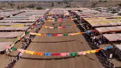 Sarangkheda Horse Market: सारंगखेड्यात घोडा आणि बुलेटची शर्यत, वाऱ्याच्या वेगाने अश्व धावत सुटला, दोघांपैकी कोण जिकलं? पाहा PHOTO