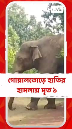 পশ্চিম মেদিনীপুরের গোয়ালতোড়ে হাতির হামলায় মৃত্যু ১ গ্রামবাসীর